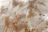 Глянцевый фартук для кухни ART 104