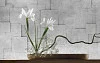 Глянцевый фартук для кухни ART 061
