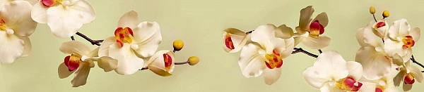 Глянцевый фартук для кухни ART 096